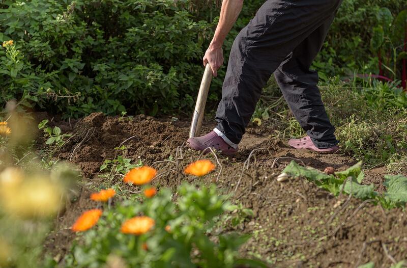 off-grid living_growing food